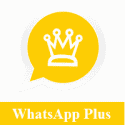 WhatsApp Plus Golden 2021 APK Download latest Version v9.60